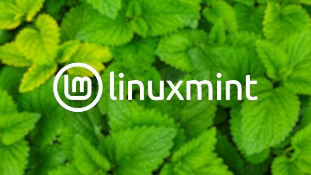 n 64 在12月发布前获得了更时尚的新外观人生就是搏Linux Mint Cnamo(图2)